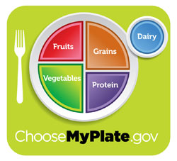 New My Plate Nutritional Guide
